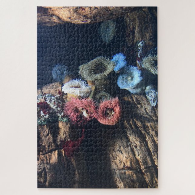 Sea Anemones. Jigsaw Puzzle (Vertical)