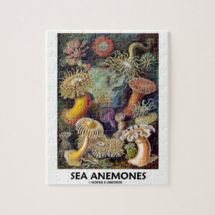 Sea Anemones Jigsaw Puzzle