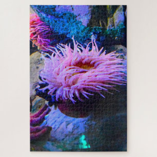 Sea Anemones. Jigsaw Puzzle