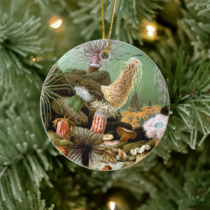Sea Anemones Marine Life, Vintage Ocean Animals Ceramic Tree Decoration