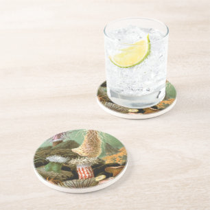 Sea Anemones Marine Life, Vintage Ocean Animals Coaster