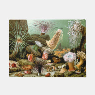 Sea Anemones Marine Life, Vintage Ocean Animals Doormat