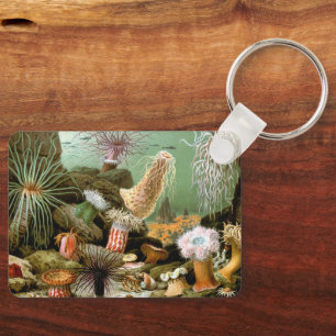 Sea Anemones Marine Life, Vintage Ocean Animals Key Ring
