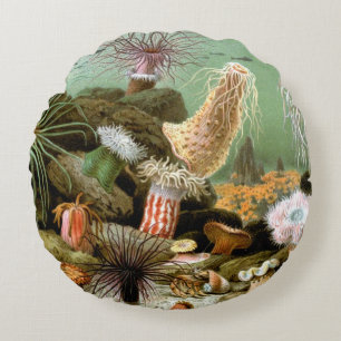 Sea Anemones Marine Life, Vintage Ocean Animals Round Cushion