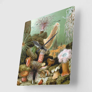 Sea Anemones Marine Life, Vintage Ocean Animals Square Wall Clock