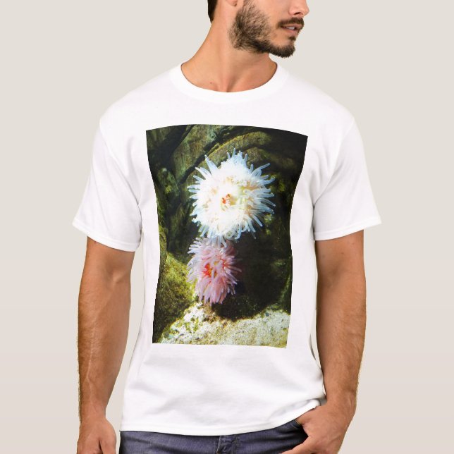 Sea anemones T-Shirt (Front)