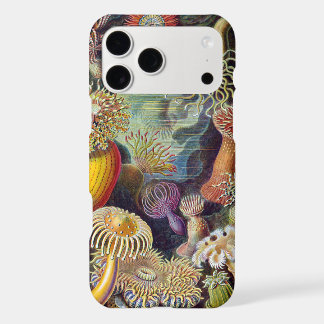 Sea Anemones, Vintage Actiniae by Ernst Haeckel