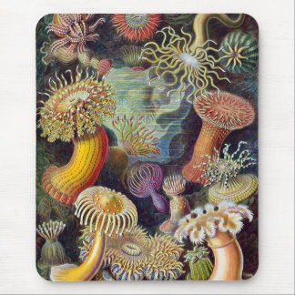 Sea Anemones, Vintage Actiniae by Ernst Haeckel Mouse Mat