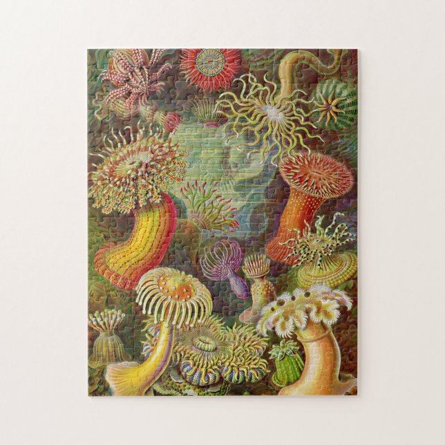 Sea Anemones Vintage Illustration Jigsaw Puzzle (Vertical)