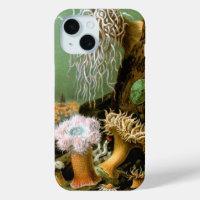 Sea Anemones, Vintage Marine Life Ocean Animals
