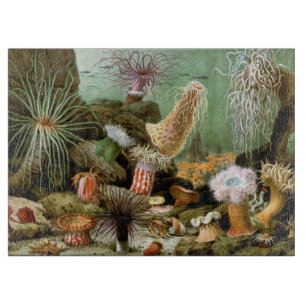 Sea Anemones, Vintage Marine Life Ocean Animals Cutting Board