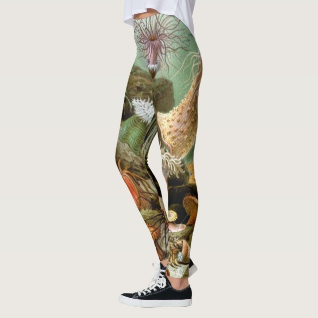 Sea Anemones, Vintage Marine Life Ocean Animals Leggings (Left)