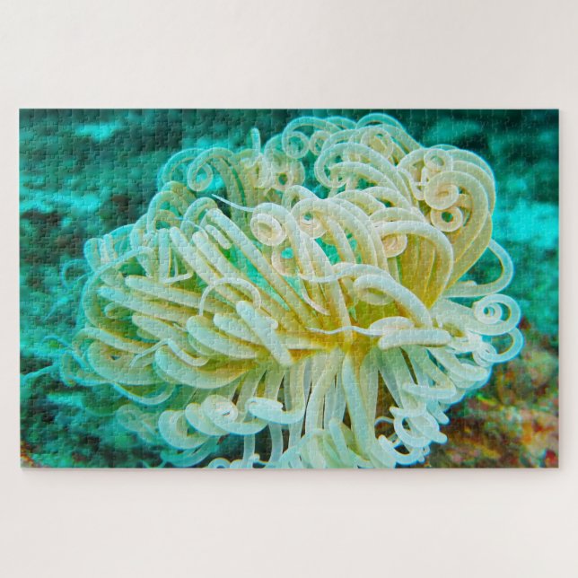 Sea Anemonies Jigsaw Puzzle (Horizontal)