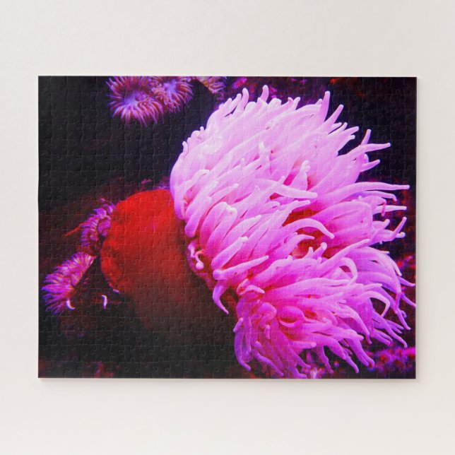 Sea Anemonies Jigsaw Puzzle (Horizontal)