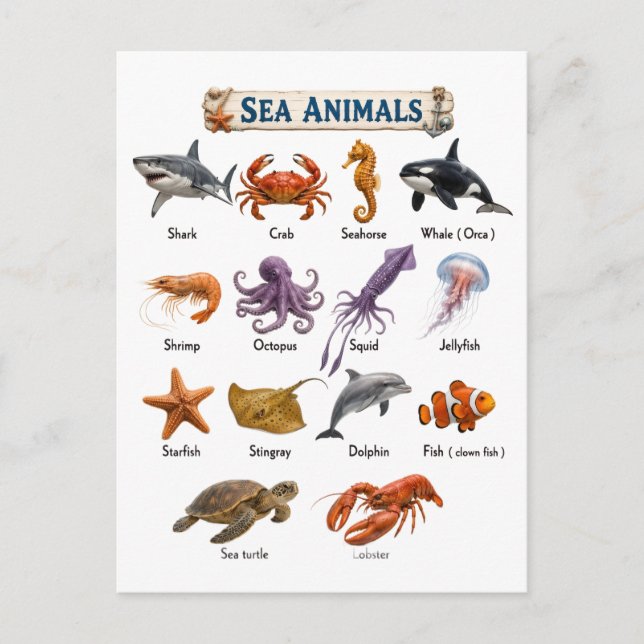 Sea Animals Postcard (Front)