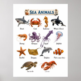Sea Animals Poster