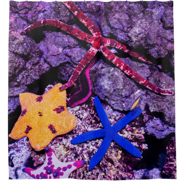 Sea Animals Shower Curtain (Front)