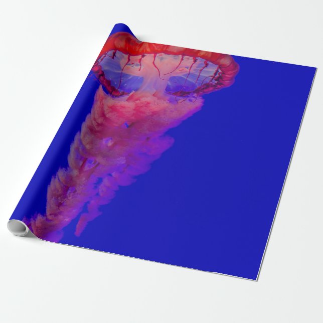 Sea Animals Wrapping Paper (Unrolled)