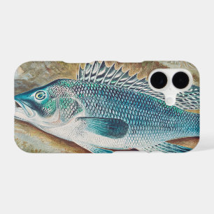 Sea Bass by S.A. Kilbourne, Vintage Fish