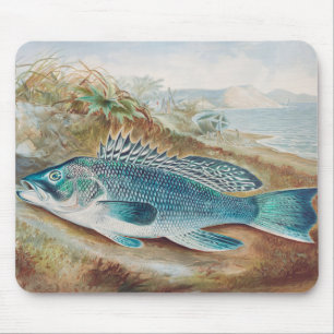 Sea Bass by S.A. Kilbourne, Vintage Fish Mouse Mat