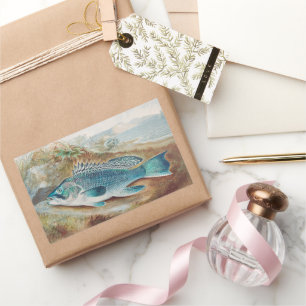 Sea Bass by S.A. Kilbourne, Vintage Fish Rectangular Sticker