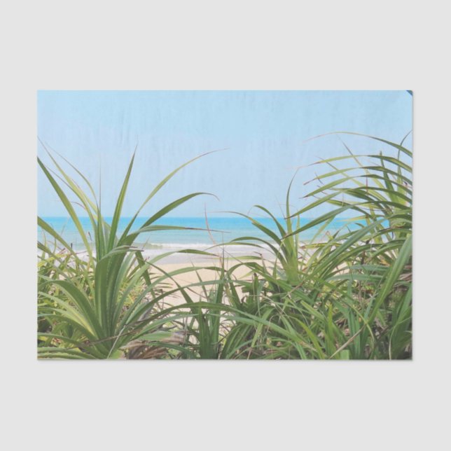 sea, beach, palm, nature, summer, tree, tropical, tissue paper (Front)