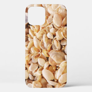 Sea Beach Shell: Summer Textured Background iPhone 12 Case