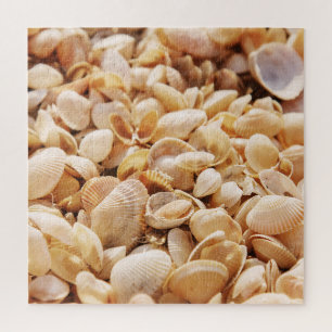 Sea Beach Shell: Summer Textured Background Jigsaw Puzzle