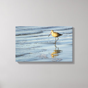 Sea Bird 3 Canvas Print
