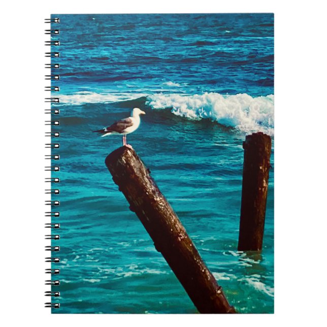 Sea Bird Notebook  (Front)