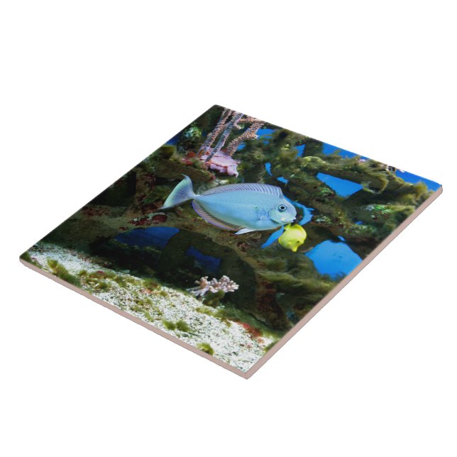 Sea Blue Fish Tile (Side)