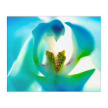 Sea Blue Orchid Print Acrylic Wall Art