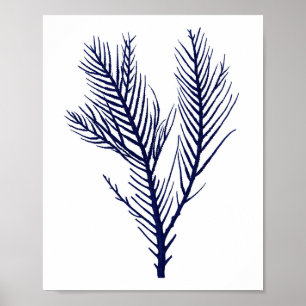 Sea Coral Navy Blue Beach Wall Decor