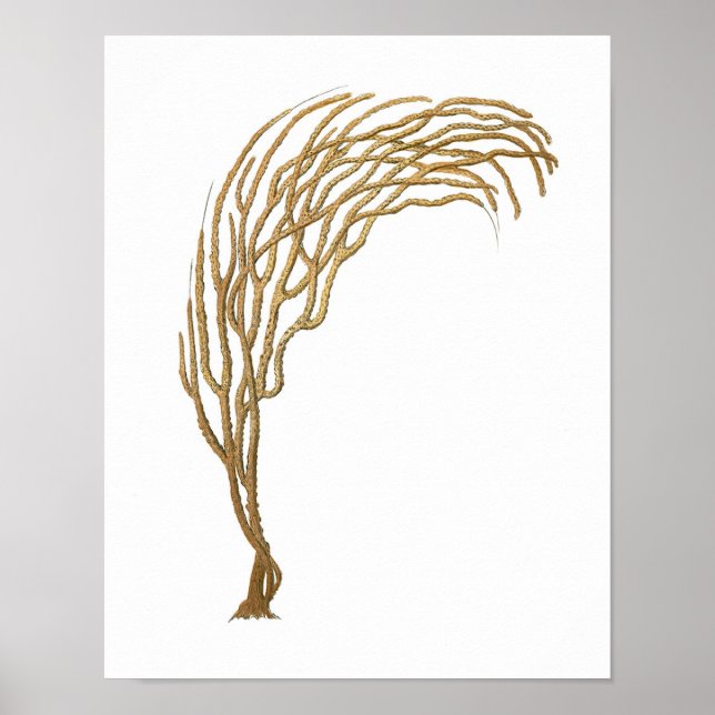 Sea Coral No.3 Antique Natural History Print (Front)