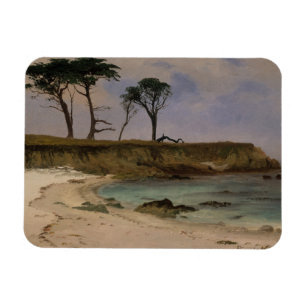 Sea Cove Magnet