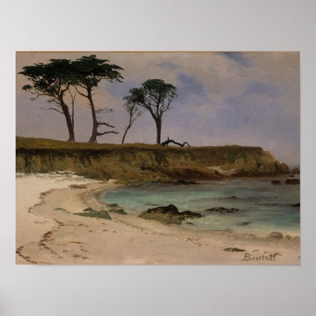 Sea Cove Poster (Front)