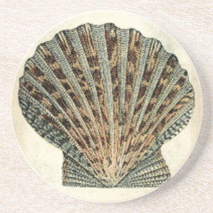 Sea Creatures by the Shore Coaster