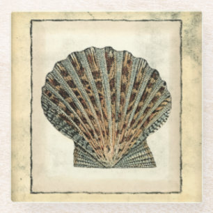 Sea Creatures by the Shore Glass Coaster