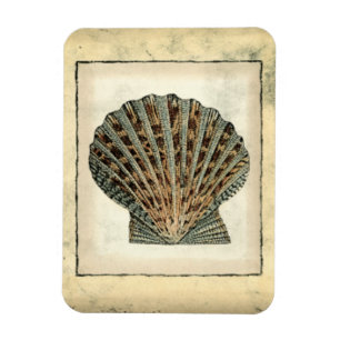 Sea Creatures by the Shore Magnet