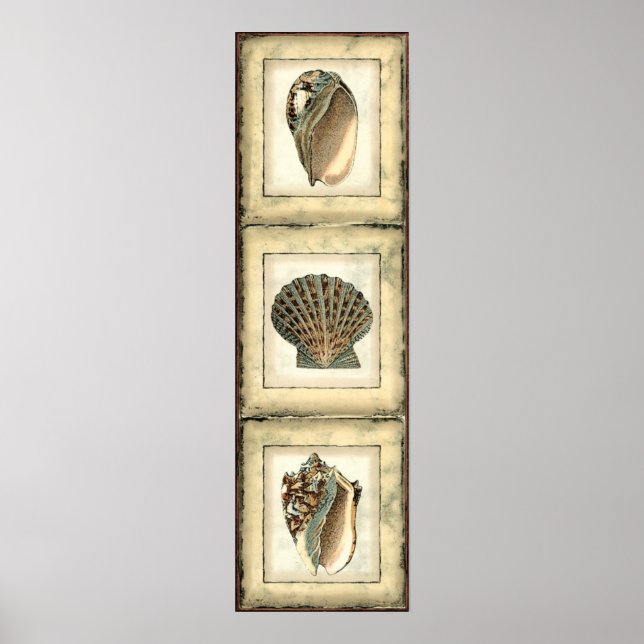 Sea Creatures by the Shore Poster (Front)