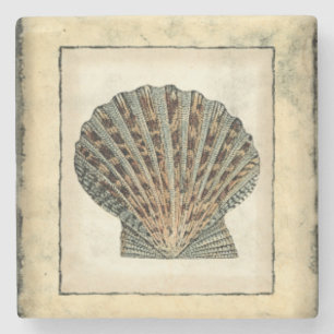 Sea Creatures by the Shore Stone Coaster