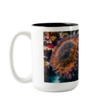 Sea Cucumber Mug