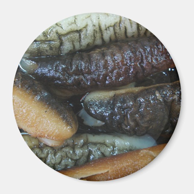 Sea Cucumber ... Yaowarat Market Food Magnet (Front)