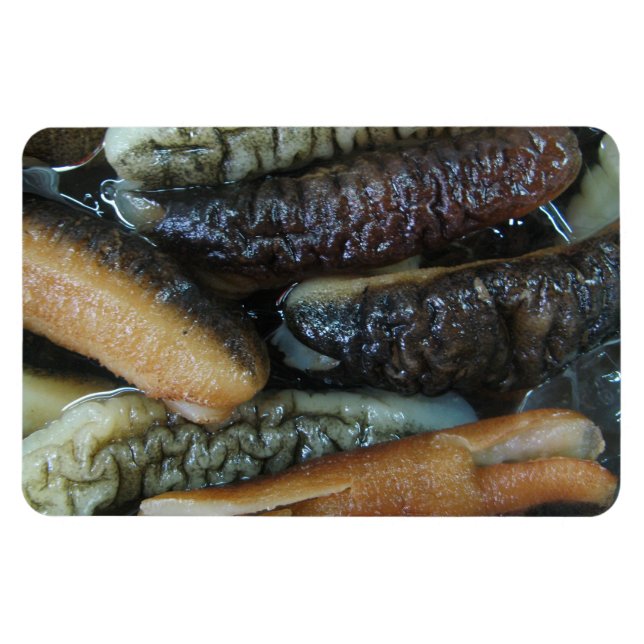 Sea Cucumber ... Yaowarat Market Food Magnet (Horizontal)