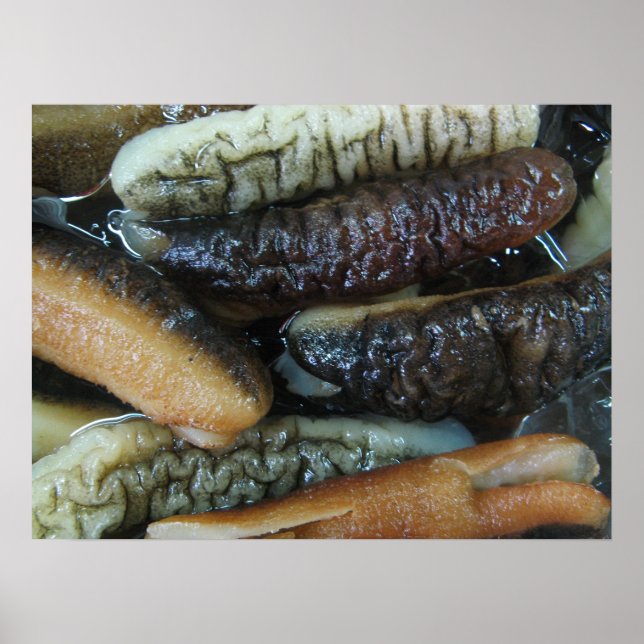 Sea Cucumber ... Yaowarat Market Food Poster (Front)