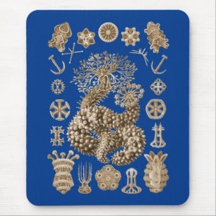 Sea Cucumbers Mouse Mat