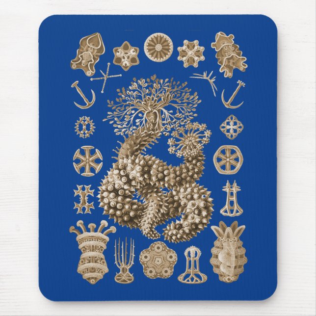 Sea Cucumbers Mouse Mat (Front)