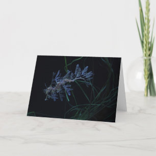 Sea Dragon Card