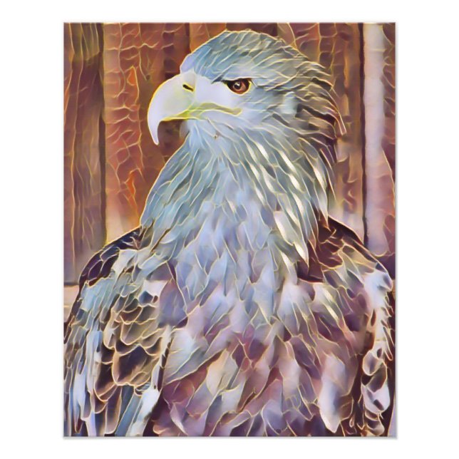 SEA EAGLE PHOTO PRINT (Front)