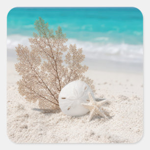 Sea Fan With Sand Dollar and Starfish Square Sticker